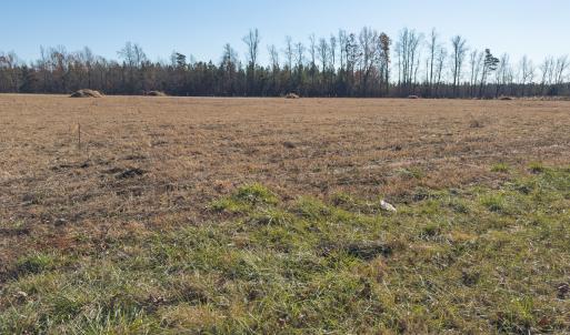 Photo #14 of SOLD property in Off Cherry Grove Road - Lot 18, Yanceyville, NC 1.1 acres