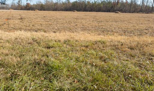 Photo #9 of SOLD property in Off Cherry Grove Road - Lot 19, Yanceyville, NC 1.2 acres