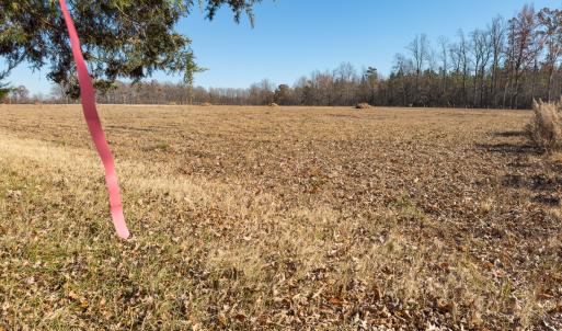 Photo #12 of SOLD property in Off Cherry Grove Road - Lot 19, Yanceyville, NC 1.2 acres
