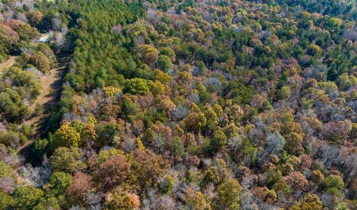 Photo #5 of SOLD property in Off Mt. Willing Road, Mebane, NC 34.6 acres