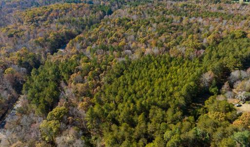 Photo #8 of SOLD property in Off Mt. Willing Road, Mebane, NC 34.6 acres