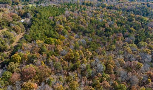 Photo #13 of SOLD property in Off Mt. Willing Road, Mebane, NC 34.6 acres