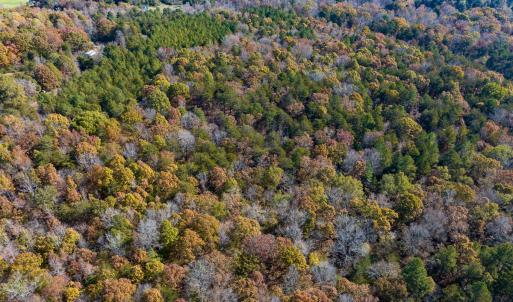 Photo #14 of SOLD property in Off Mt. Willing Road, Mebane, NC 34.6 acres