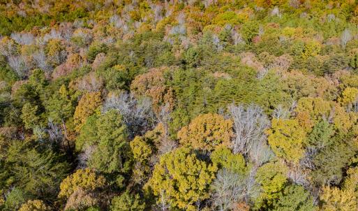 Photo #15 of SOLD property in Off Mt. Willing Road, Mebane, NC 34.6 acres