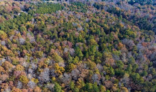 Photo #18 of SOLD property in Off Mt. Willing Road, Mebane, NC 34.6 acres