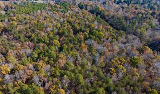Photo #20 of SOLD property in Off Mt. Willing Road, Mebane, NC 34.6 acres