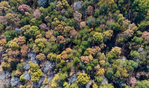 Photo #26 of SOLD property in Off Mt. Willing Road, Mebane, NC 34.6 acres