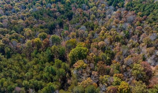 Photo #29 of SOLD property in Off Mt. Willing Road, Mebane, NC 34.6 acres