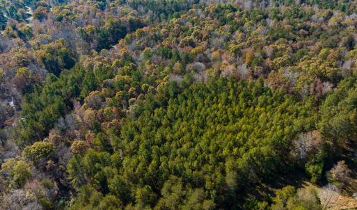 Photo #33 of SOLD property in Off Mt. Willing Road, Mebane, NC 34.6 acres