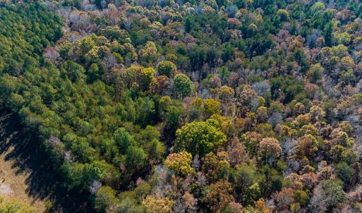 Photo #36 of SOLD property in Off Mt. Willing Road, Mebane, NC 34.6 acres