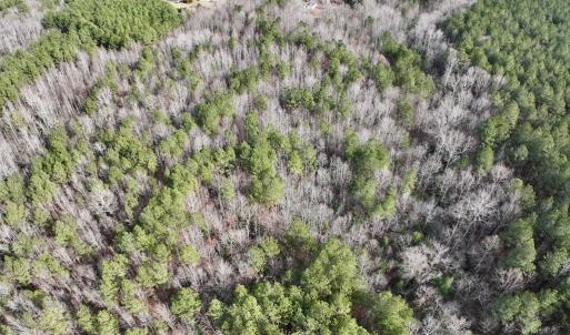Photo #9 of SOLD property in Off Highway 58 , Warrenton, NC 12.6 acres