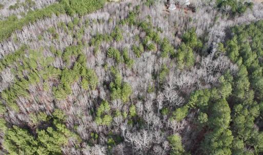 Photo #10 of SOLD property in Off Highway 58 , Warrenton, NC 12.6 acres