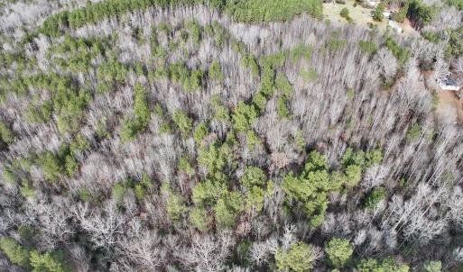 Photo #12 of SOLD property in Off Highway 58 , Warrenton, NC 12.6 acres