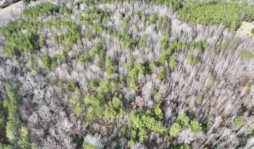 Photo #13 of SOLD property in Off Highway 58 , Warrenton, NC 12.6 acres
