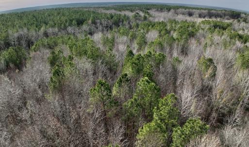 Photo #14 of SOLD property in Off Highway 58 , Warrenton, NC 12.6 acres