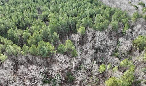 Photo #16 of SOLD property in Off Highway 58 , Warrenton, NC 12.6 acres