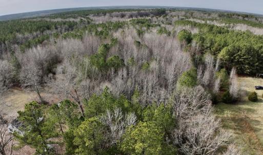 Photo #17 of SOLD property in Off Highway 58 , Warrenton, NC 12.6 acres