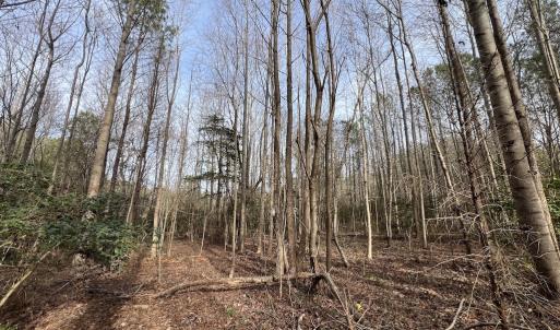 Photo #20 of SOLD property in Off Highway 58 , Warrenton, NC 12.6 acres