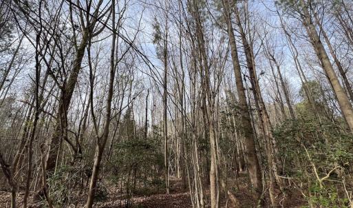 Photo #21 of SOLD property in Off Highway 58 , Warrenton, NC 12.6 acres