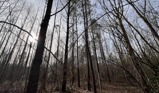 Photo #22 of SOLD property in Off Highway 58 , Warrenton, NC 12.6 acres