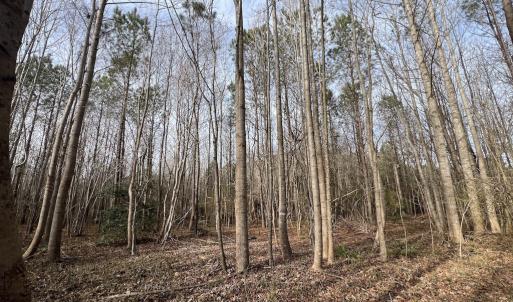 Photo #23 of SOLD property in Off Highway 58 , Warrenton, NC 12.6 acres