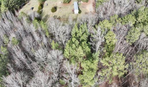 Photo #2 of SOLD property in Off Highway 58 , Warrenton, NC 12.6 acres