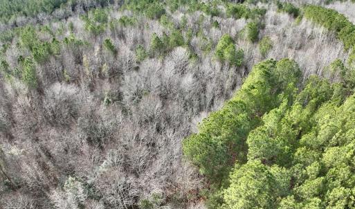 Photo #4 of SOLD property in Off Highway 58 , Warrenton, NC 12.6 acres