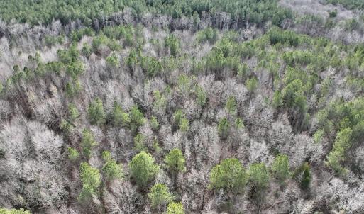 Photo #6 of SOLD property in Off Highway 58 , Warrenton, NC 12.6 acres