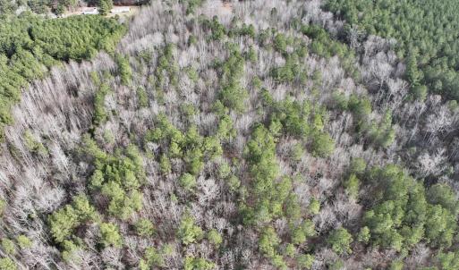 Photo #8 of SOLD property in Off Highway 58 , Warrenton, NC 12.6 acres