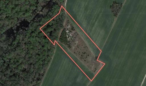 Photo #1 of SOLD property in Off Mary F. Lane, Snow Hill, NC 5.0 acres