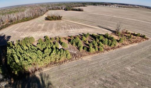 Photo #9 of SOLD property in Off Mary F. Lane, Snow Hill, NC 5.0 acres