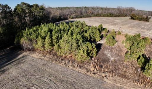 Photo #10 of SOLD property in Off Mary F. Lane, Snow Hill, NC 5.0 acres