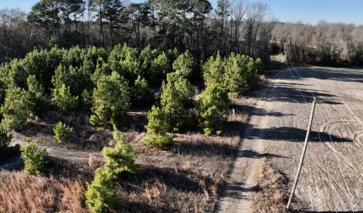 Photo #13 of SOLD property in Off Mary F. Lane, Snow Hill, NC 5.0 acres