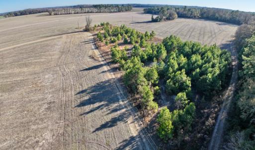 Photo #2 of SOLD property in Off Mary F. Lane, Snow Hill, NC 5.0 acres