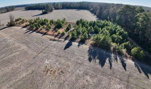 Photo #3 of SOLD property in Off Mary F. Lane, Snow Hill, NC 5.0 acres