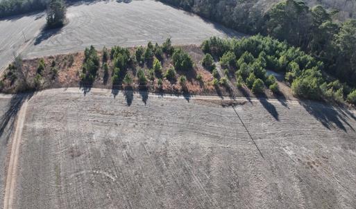 Photo #4 of SOLD property in Off Mary F. Lane, Snow Hill, NC 5.0 acres