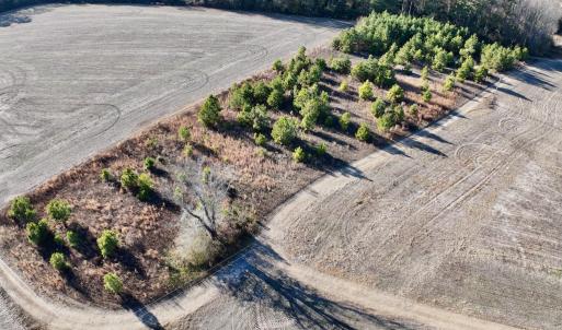 Photo #5 of SOLD property in Off Mary F. Lane, Snow Hill, NC 5.0 acres