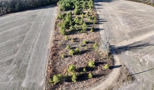 Photo #6 of SOLD property in Off Mary F. Lane, Snow Hill, NC 5.0 acres