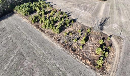 Photo #7 of SOLD property in Off Mary F. Lane, Snow Hill, NC 5.0 acres