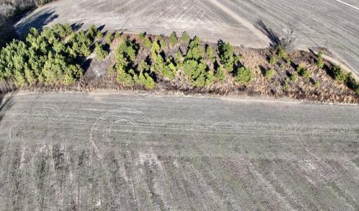 Photo #8 of SOLD property in Off Mary F. Lane, Snow Hill, NC 5.0 acres