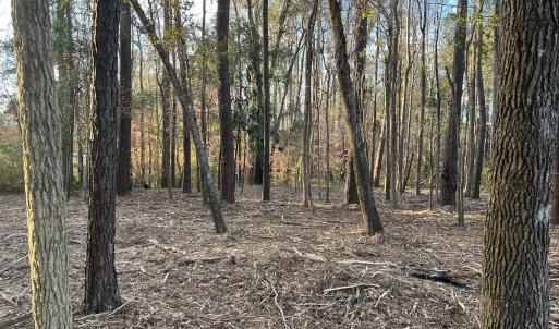 Photo #12 of SOLD property in NC Hwy 87 E, Council, NC 2.7 acres