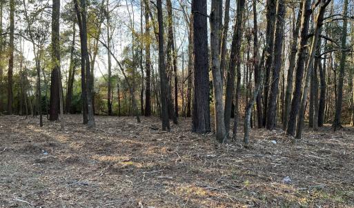 Photo #13 of SOLD property in NC Hwy 87 E, Council, NC 2.7 acres