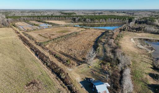 Photo #2 of SOLD property in 316 Cedar Landing Rd, Windsor, NC 88.0 acres