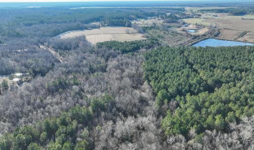 Photo #11 of SOLD property in 316 Cedar Landing Rd, Windsor, NC 88.0 acres