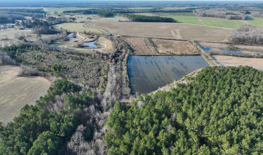 Photo #12 of SOLD property in 316 Cedar Landing Rd, Windsor, NC 88.0 acres