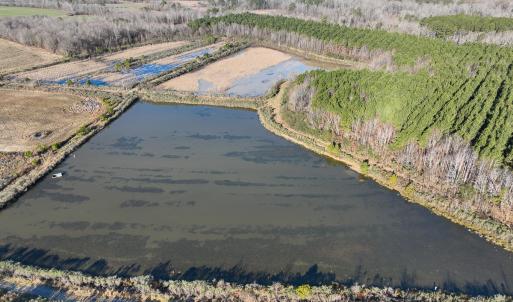Photo #15 of SOLD property in 316 Cedar Landing Rd, Windsor, NC 88.0 acres