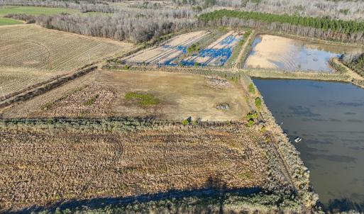 Photo #16 of SOLD property in 316 Cedar Landing Rd, Windsor, NC 88.0 acres