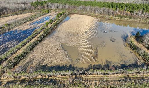 Photo #18 of SOLD property in 316 Cedar Landing Rd, Windsor, NC 88.0 acres