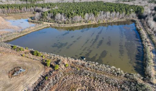 Photo #19 of SOLD property in 316 Cedar Landing Rd, Windsor, NC 88.0 acres