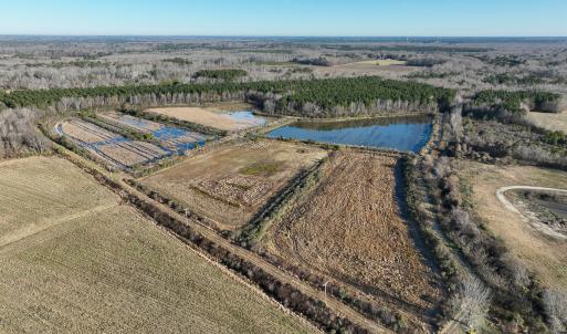 Photo #3 of SOLD property in 316 Cedar Landing Rd, Windsor, NC 88.0 acres